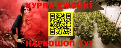 гидра Уссурийск