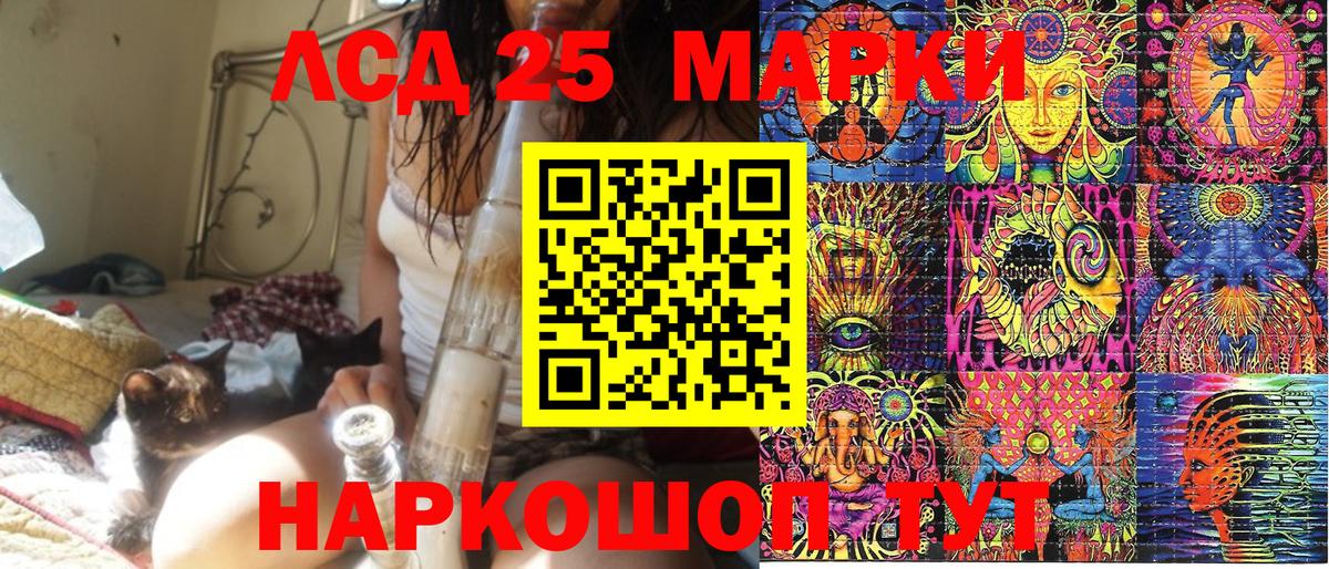 Марки NBOMe 1500мкг  Вход с VPN  купить закладку  Новотроицк  Марки NBOMe 1500мкг 