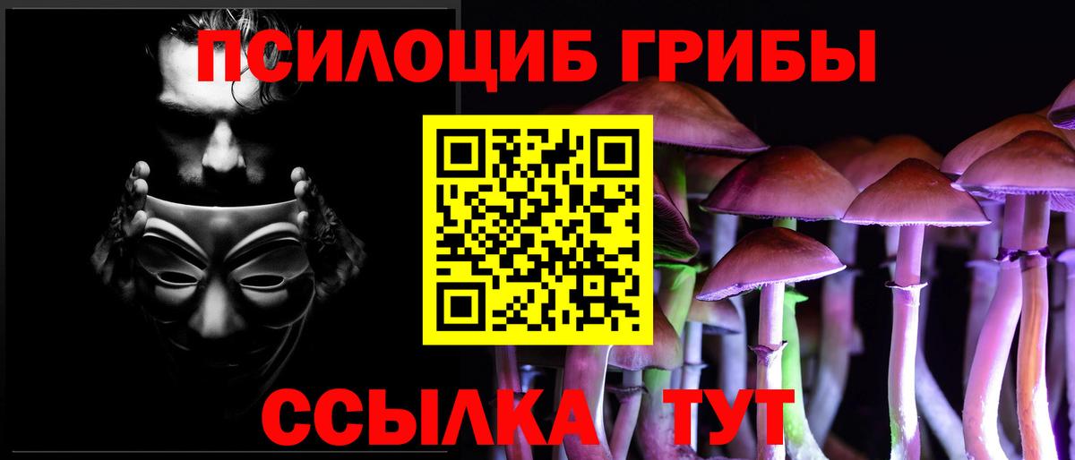 Новотроицк  Галлюциногенные грибы GOLDEN TEACHER  магазин продажи   Вход с VPN 